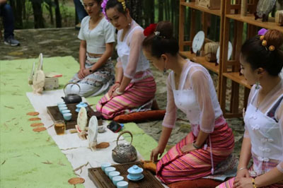 老曼峨竹林茶會，竹林里的古樹茶與歌舞