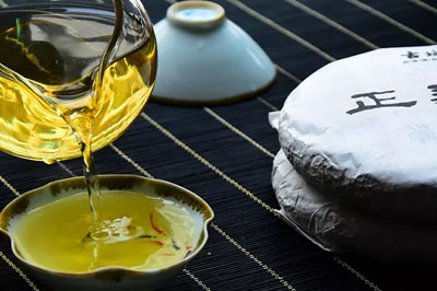 茶話會茶友品鑒感受：正氣塘正氣足