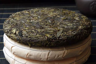 大雪山古樹黃片：甜就一個字，我只說一次！