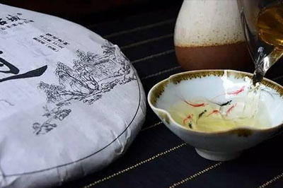 懂過(guò)古樹(shù)與懂過(guò)老樹(shù)的區(qū)別