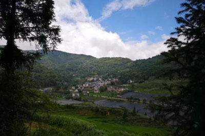 保山龍陵鎮(zhèn)安鎮(zhèn)回歡村茶葉故事