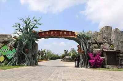 騰沖高黎貢山茶博園入選2019中國美麗茶園