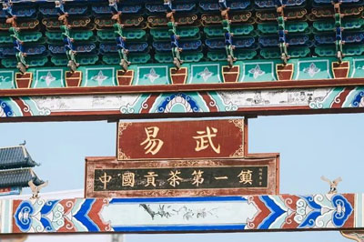 云南12個(gè)名山頭普洱茶特點(diǎn)之易武篇