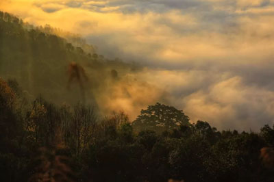 在南糯山的時光里