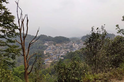 麻黑，引爆古樹茶之功臣