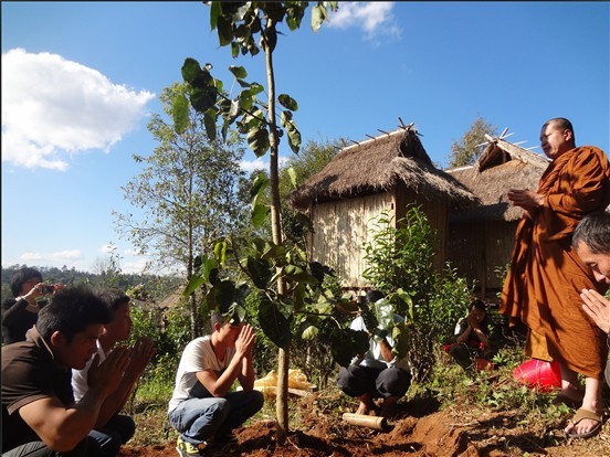 西雙版納南傳佛教與菩提樹