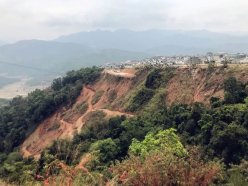 普洱茶山新秀昔歸茶，一個(gè)神話的誕生