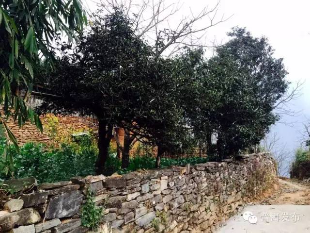 帶你到《天龍八部》里神仙姐姐曾隱居的世外桃源走一轉(zhuǎn)