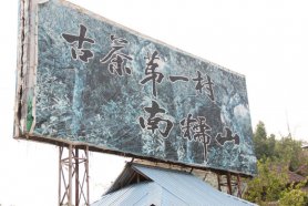 普洱茶山報道：南糯山丫口老寨古樹茶