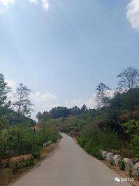 帶你了解邦東那罕，濃郁的蘭香獨具特色