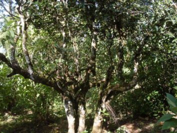 保塘或許是你忽略的世外桃源