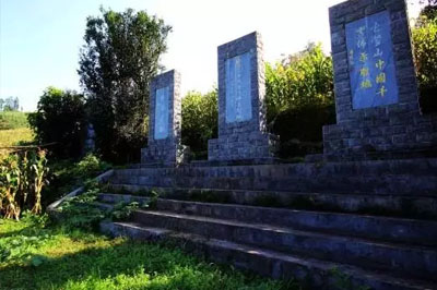 禪茶一味，探尋佛茶圣地白鶯山