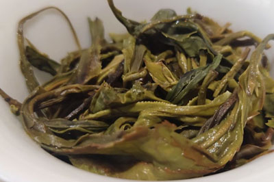 麻栗坡的綠茶，為什么得到那么多人的喜愛