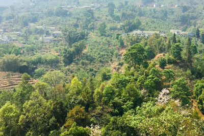 春茶走山串寨尋好茶：芹菜塘、那罕、曼崗、昔歸