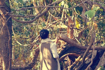 賀開茶園：茶農(nóng)與茶神的心靈寄托！