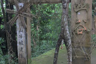 南糯山：因筍得名因茶出名