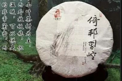 一任天真“倚邦習崆”：驚鴻一瞥，卻彌足珍貴