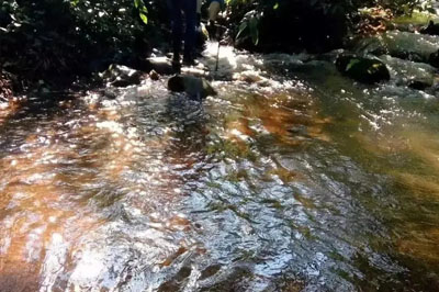 走進(jìn)銅箐河，帶你所見(jiàn)真實(shí)的銅箐河古茶區(qū)