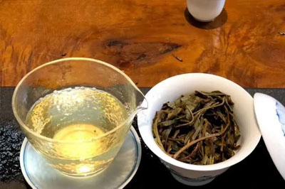 天賜神韻易武山，一往情深薄荷塘！