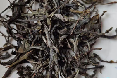 茶記：2020年定制版薄荷塘二類(lèi)古樹(shù)