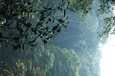 叢林之王2022刮風寨之上冷水河