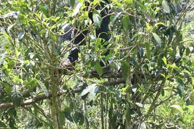 冷水河，冷不了心中的那份牽掛