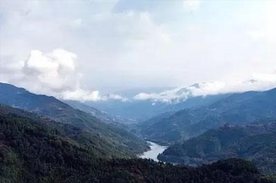 懂過，普洱茶圈性價比最高的古樹茶