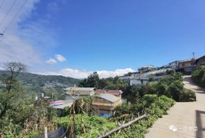 大戶賽，藏不住的古茶老家