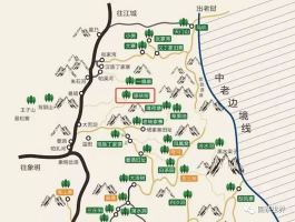 易武哆依樹，為何會迅速爆紅？