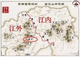 帕沙：不溫不火，卻私藏好茶