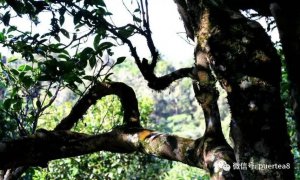 我眼中的廣別老寨