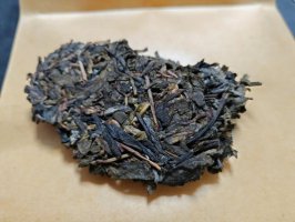 小眾普洱那罕大單株