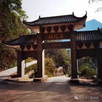 走進(jìn)易武，了解刮風(fēng)寨茶葉特點(diǎn)